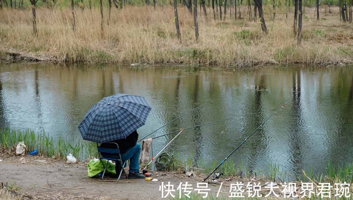 文章|夏季打窝如何长久留鱼?看完这篇文章就都清楚了,果断收藏起来