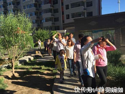 枯树叶|为什么许多朋友选择年底冬季看房买房？原来有这么多好处！
