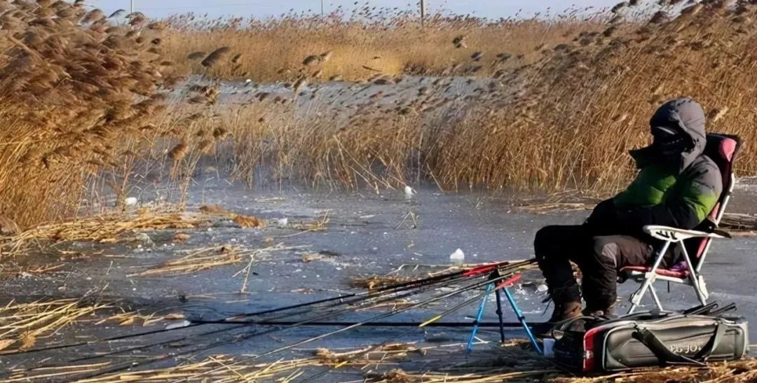冬季钓鱼牢记5点，不用蚯蚓也能钓到鱼