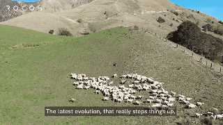 机器|波士顿动力「人狗共舞」:PK韩国男团,机器舞神组团来袭