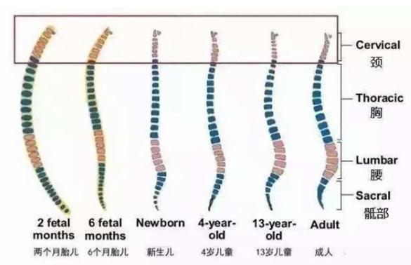 孩子|新生儿被诊断脊柱变形,这几个习惯容易伤害孩子,宝妈尽快改正