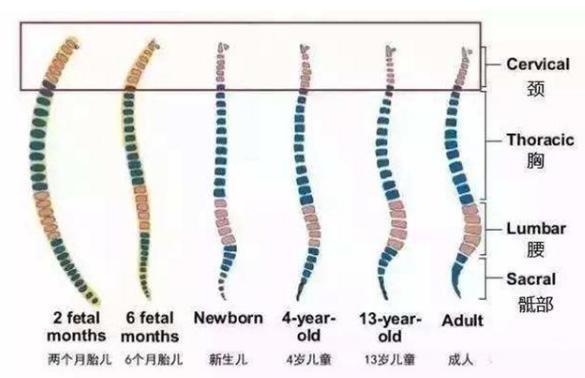 孩子|新生儿被诊断脊柱变形，这几个习惯容易伤害孩子，宝妈尽快改正