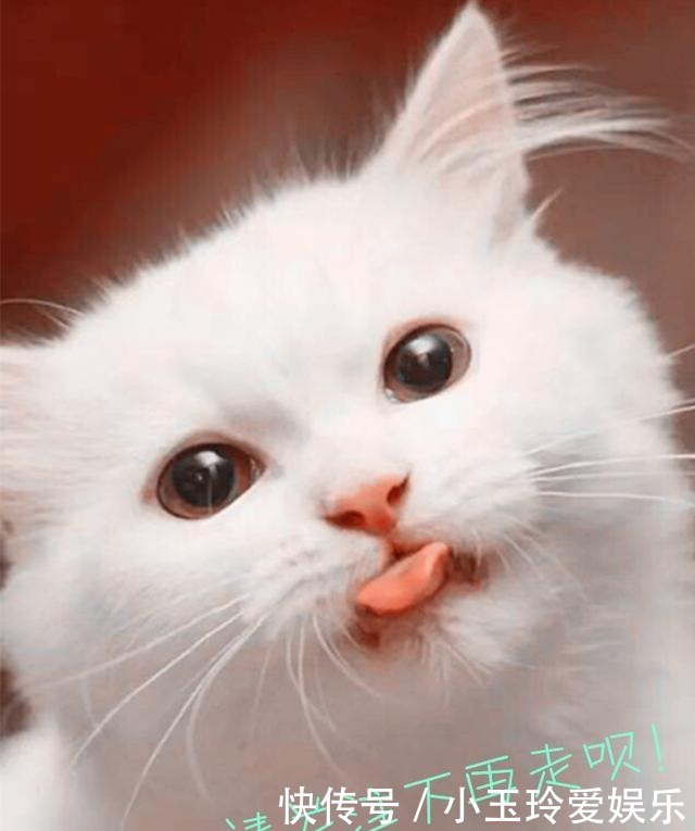 三件|最让曹操后悔的三件事:爱错一人 、杀错一神、斩错一将!