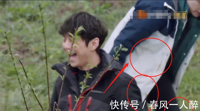 干活|《向往5》干活被质疑作秀,看嘉宾种树时的衣服,是否摆拍很显然