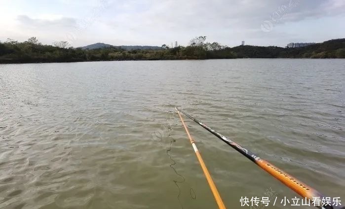 黑坑|分享我用过最顺手的5根鱼竿,请多指教~