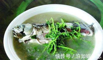 野菜|农村一种野草,人称“解百毒”,常被用来做汤,一斤卖到240