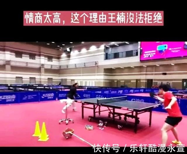 刘国梁|高情商!王楠无法拒绝莎莎的什么请求不顾自我形象全力配合她