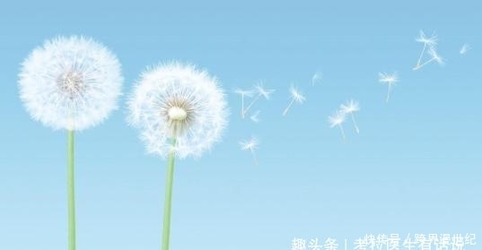 螺旋杆菌|藏在胃里幽门螺旋杆菌,怎么将他排出体外,我们可以这样做