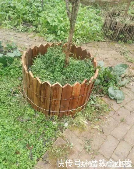 买的花盆又贵又难看？花花教你自制花盆，省钱又漂亮！