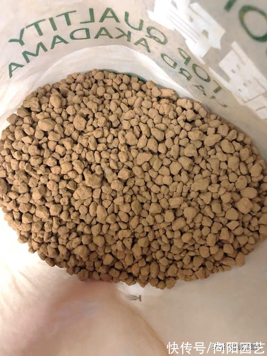 软质|不用永远体验不到，软质颗粒养多肉，效果真的很好，根系超发达