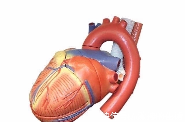 心脏|心脏有问题的人,睡觉时一般会出现4个情况,一个也别忽视