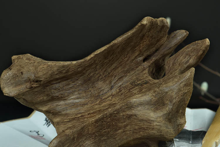 腕间|解锁腕间雅致魅力,沉香手串该如何挑选?