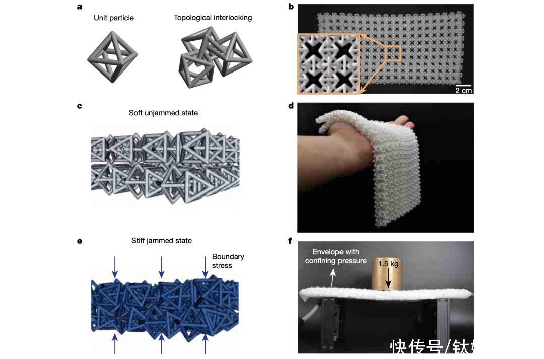 链甲|Nature：“反牛顿”的高科技版“软猬甲”问世，一作为华人科学家