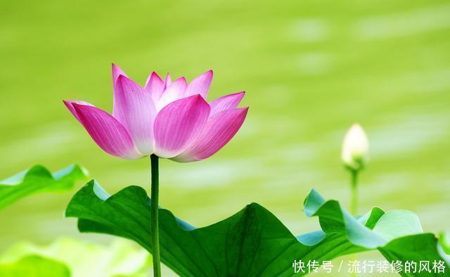 背景|除了没人疼,全身哪都疼,除了没背景,身边都是景