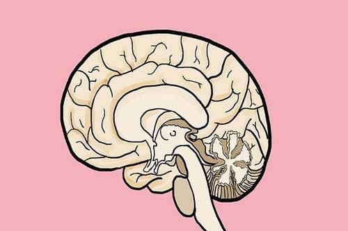 益智果|核桃有两面性，正确使用是养生佳品，错误使用或会诱发血管疾病