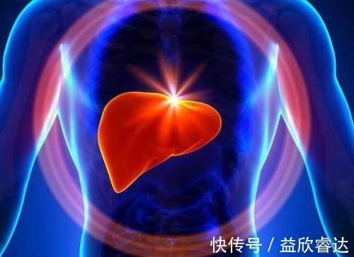 养肝|养肝界的“冠军”找到了，不是枸杞、胡萝卜，你若爱吃，肝更强壮