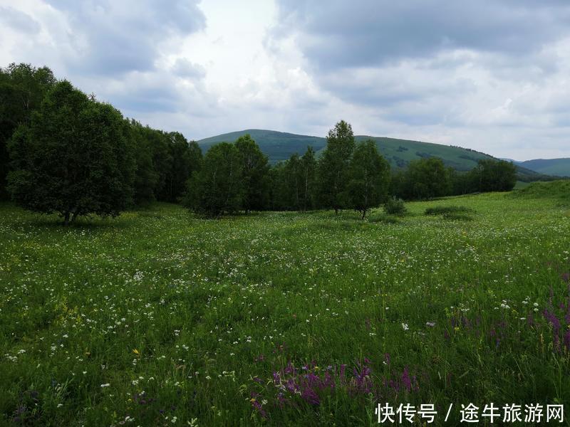 美丽的锡林郭勒大草原，最纯正的蒙元文化，最原始的游牧牧场