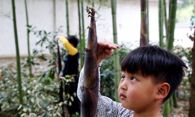 青春期|你家宝宝身高处于啥水平？对照这张表，一看便知