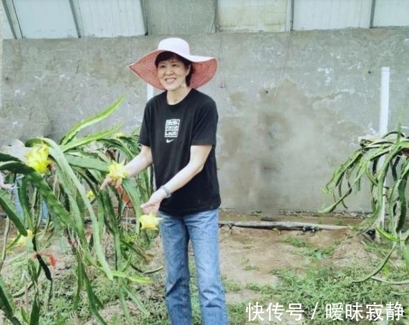 郎平指导|女排主帅年薪百万,怒批郎平的张然、胡进为何不敢尝试带队呢?