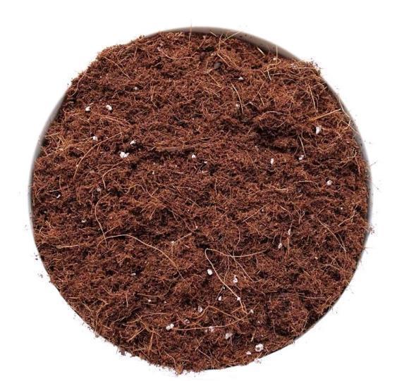 1升营养土等于多少斤 1升营养土等于多少斤