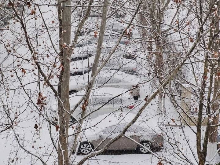 2022年济南第一场雪！漂亮的雪景请你欣赏