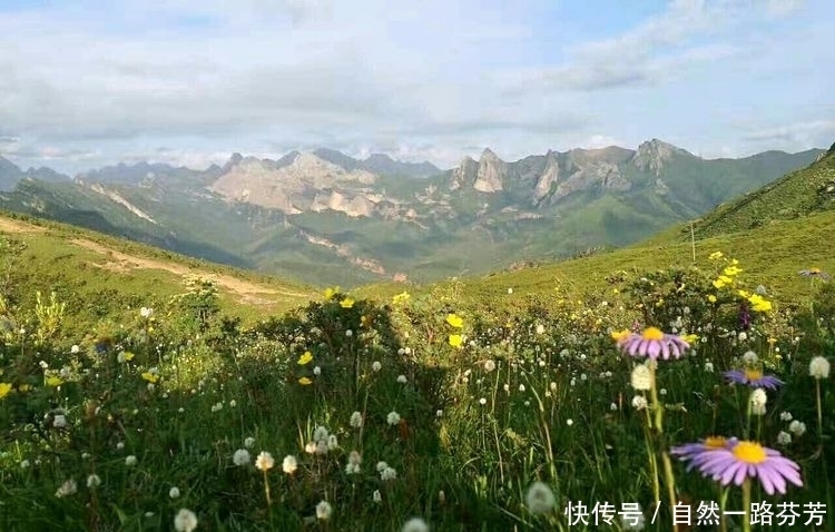 迭部|迭部措美，不忍错过的美丽