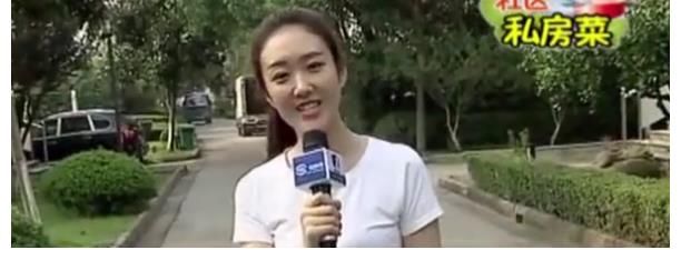 主持人|王嘉宁：《今日说法》最年轻女主播！接班撒贝宁，27岁受央视力捧