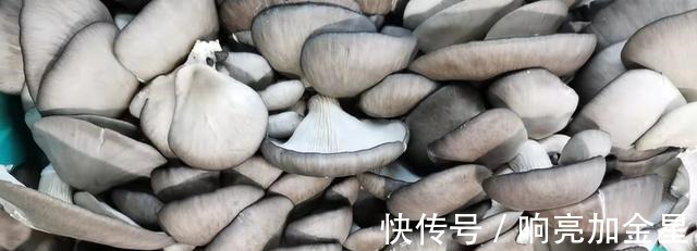 这汤好喝好做,低脂又饱腹,便宜又鲜美,几块钱能煮一大锅太香了!