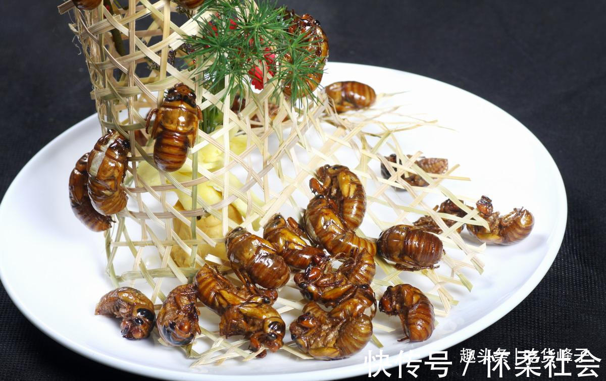 高蛋白食物|地下蛰伏5年,知了能吃吗吃了对身体有何危害为了健康别再吃错