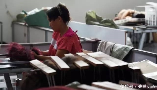 我们剪掉的头发,并没有烧掉,最终是送去了这个地方