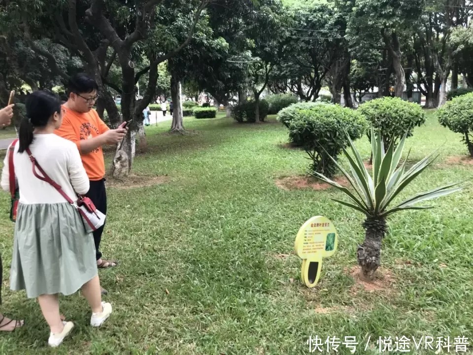 研究化石，趣味定向，植物压花！番禺公园科普活动继续神奇旅程！