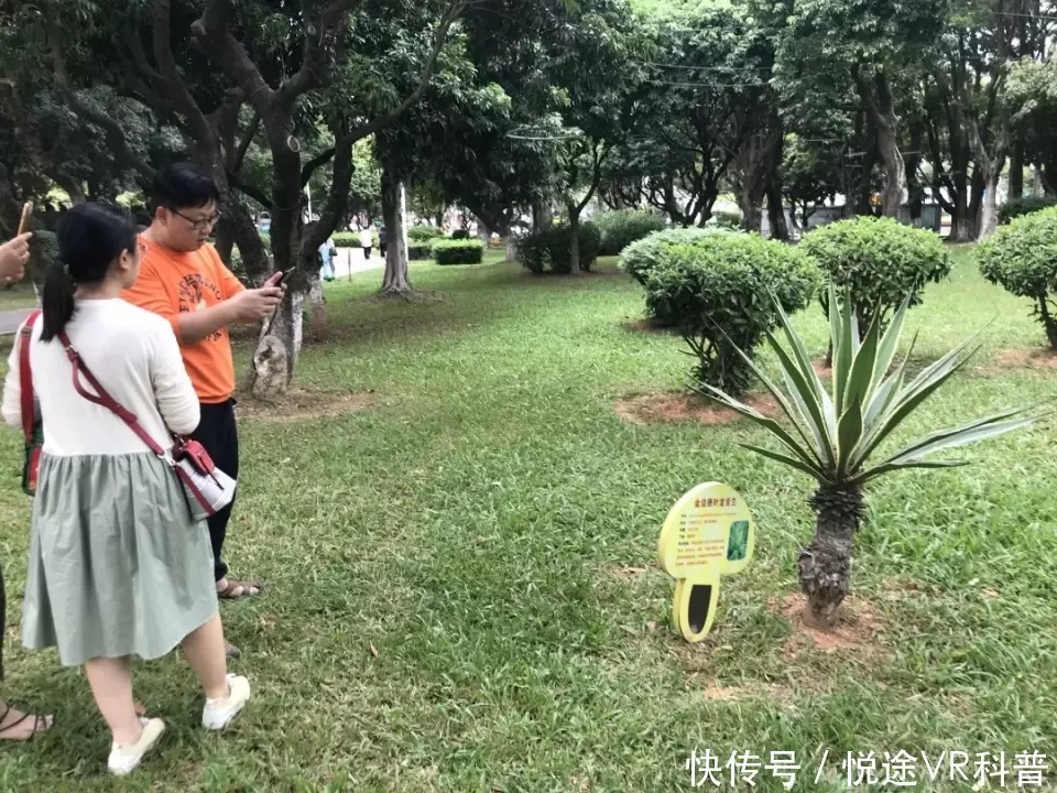 研究化石,趣味定向,植物压花!番禺公园科普活动继续神奇旅程!