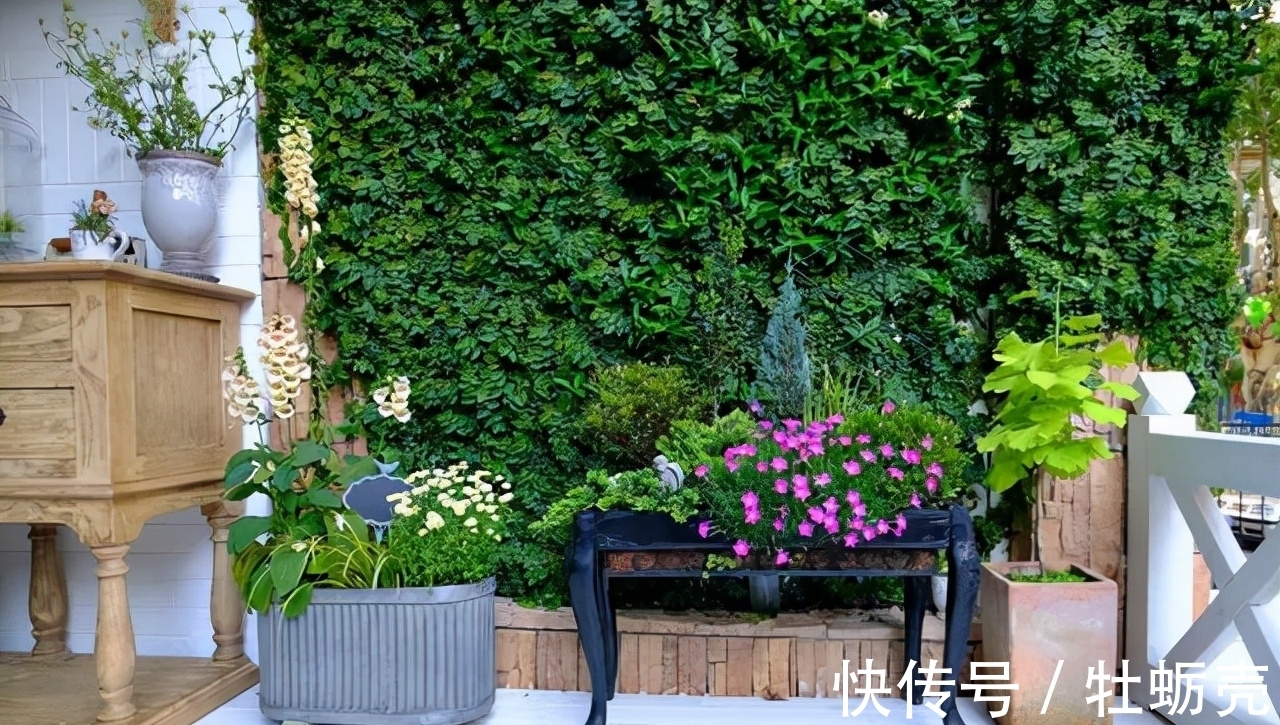 这6种花不能长太高,一长高就得赶紧剪,越矮才能越漂亮