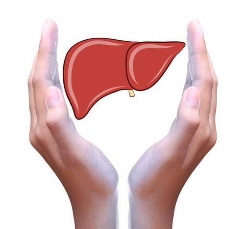 葡萄|李兰娟院士：秋季是养肝好时期，建议多吃这7种食物，肝脏更红润