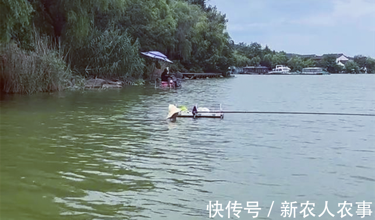 钓鱼|钓鱼也有瘾？江苏男子冒着暴雨在湖边垂钓，水淹到脖子仍纹丝不动