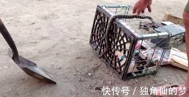 剧毒化学品、麻醉类和精力类药品需存放在不易移动的保险柜或带的冰箱内实施 “