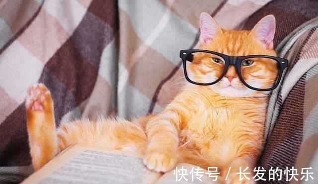 |幽默笑话:女友第一次来家里,就暴露了吃货的一面!