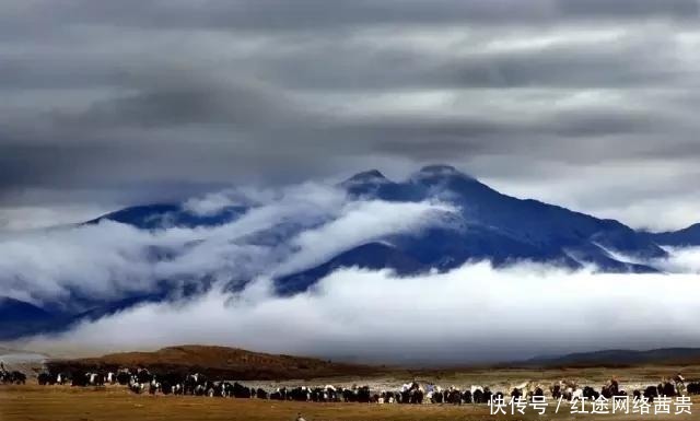 另一个敕勒川:高欢的眼泪