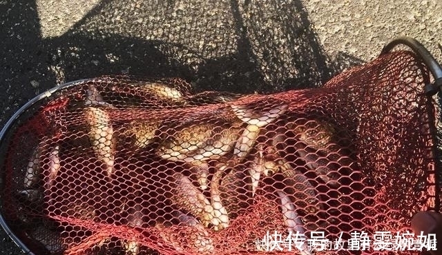 新手钓友牢记钓鱼7忌，虽然不能助你多钓鱼，但也能不让你放炮