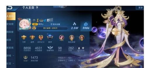RMB|王者荣耀：充了22万RMB的个人主页是什么样的？网友：大开眼界了