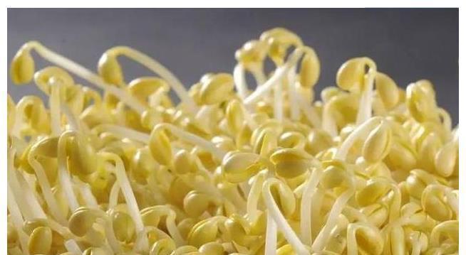 无根豆芽|医生不建议吃的3种蔬菜,不是激素就是毒素,可能很多人还在吃