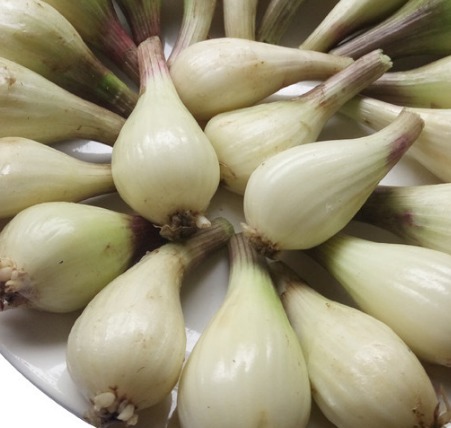 丰肌美肤|女性不想显老,常吃的食物,滋养子宫,丰肌美肤,帮助清肠油