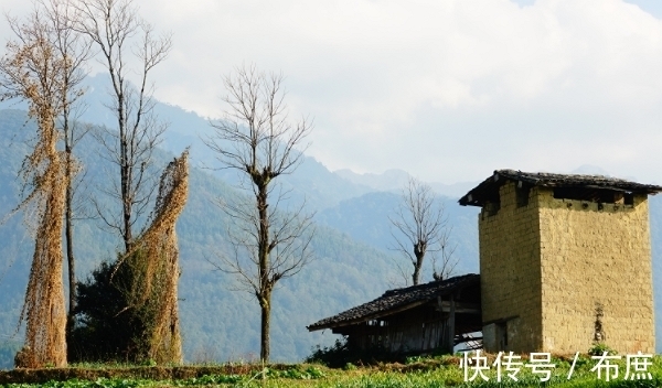 生肖狗|人品超好，众人信赖的生肖，11月2号起，财运起飞，挣大钱发大财