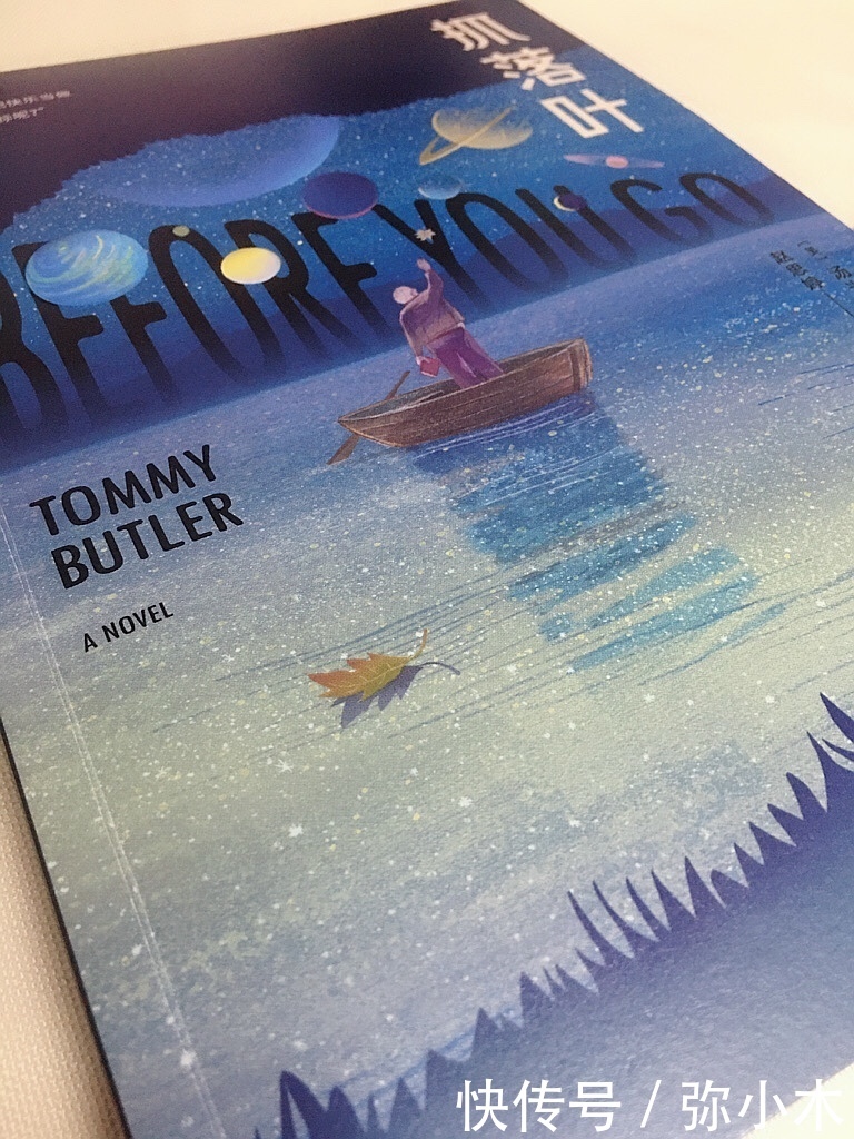 落叶|《抓落叶》:童年缺爱,一生寻找,不能如愿