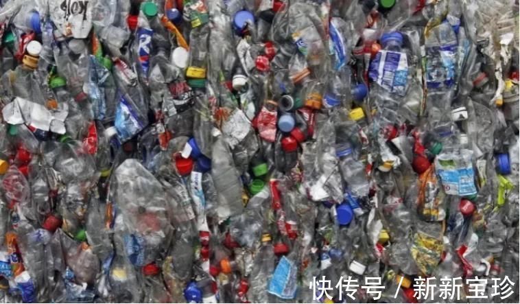 梅根王妃 陆喜梅:仅用三个塑料瓶做出来的王妃鞋,是怎么风靡全球的?