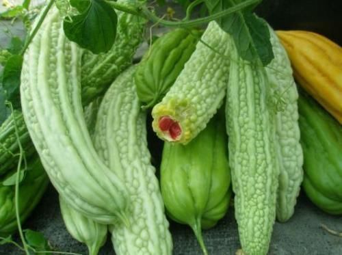 运动减肥|夏天瘦下来全靠吃,最刮油的10种食物,营养又健康,快速减肥瘦身