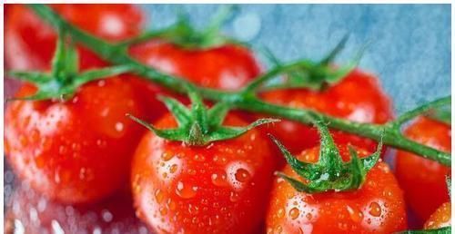 吃西紅柿有7大好處,那西紅柿是蔬菜還是水果,空腹可以吃嗎?
