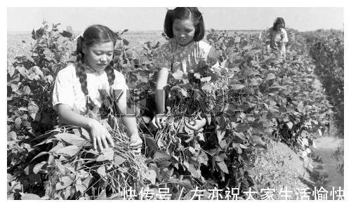 石家庄藁城县五六十年代老照片