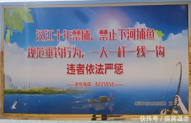 钓鱼|若实施持证垂钓,将会带来这些个好处