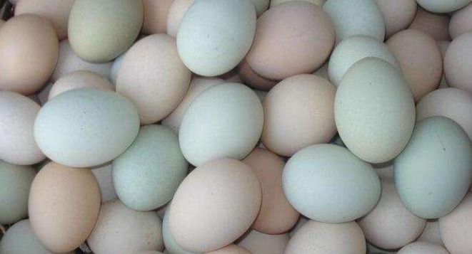 早餐吃“鸡蛋”的人注意了,这有3点误区,现在还有人再犯